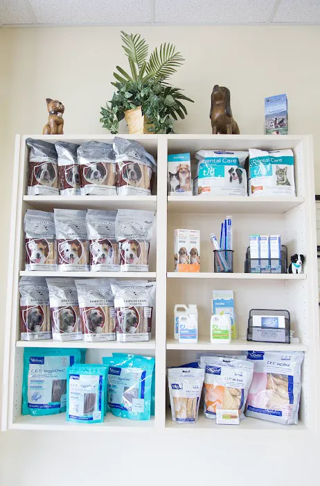 Arizona Veterinary Dental Specialists - Peoria Picture 8