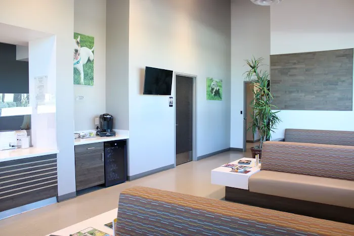 Arizona Veterinary Dental Specialists - Peoria Picture 2