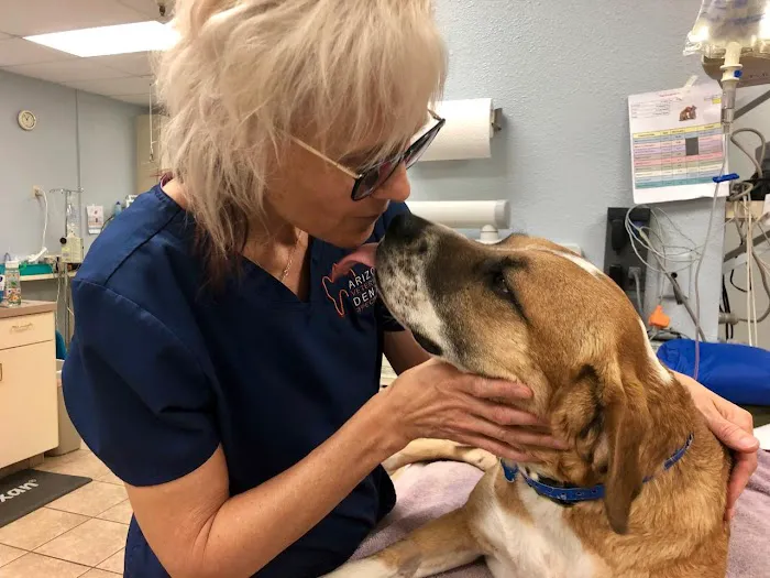 Arizona Veterinary Dental Specialists - Peoria Picture 4