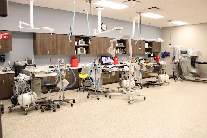 Arizona Veterinary Dental Specialists - Peoria Picture 3