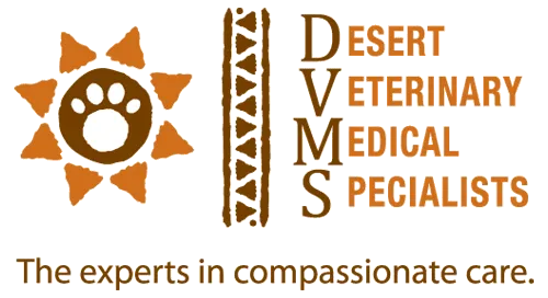 Desert Veterinary Medical Specialists Picture 2