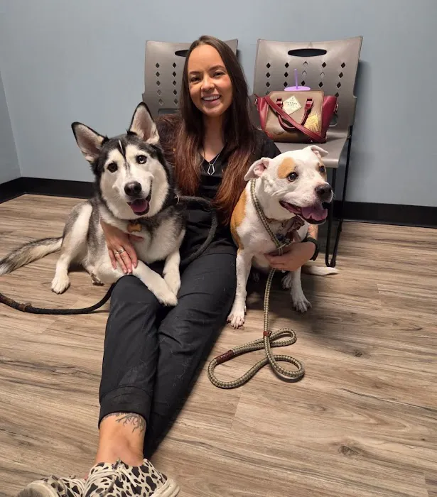 Arizona Animal Dentistry Picture 2