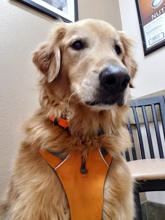 Lovet Pet Health Care - Goodyear Picture 9