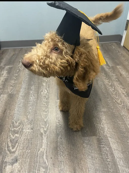 easyvet Veterinarian Goodyear Picture 7