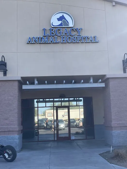 Legacy Animal Hospital Picture 8