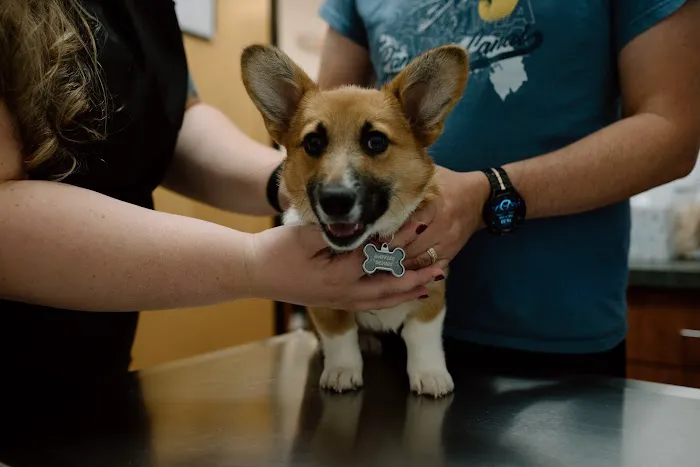 The Complete Pet Animal Hospital Picture 10