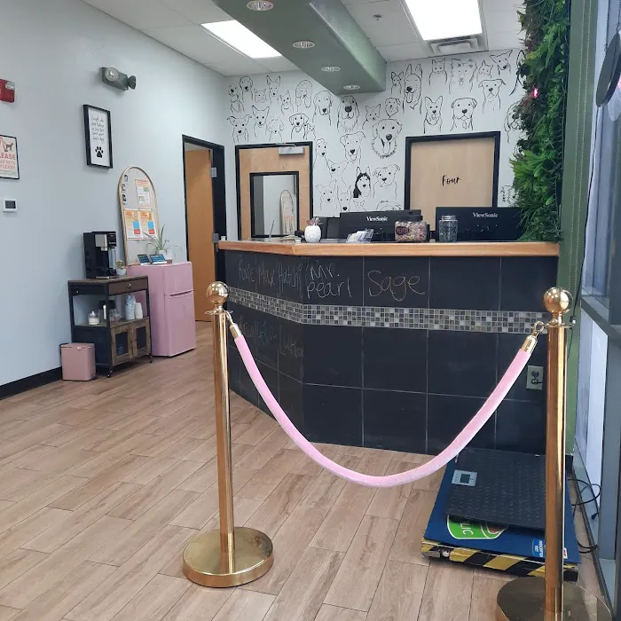 The Complete Pet Animal Hospital Picture 7