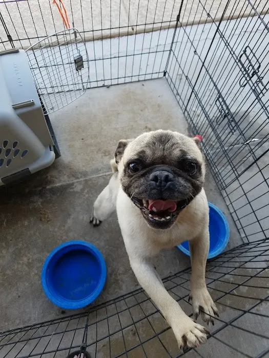 West Olive Animal Hospital Llc Picture 8