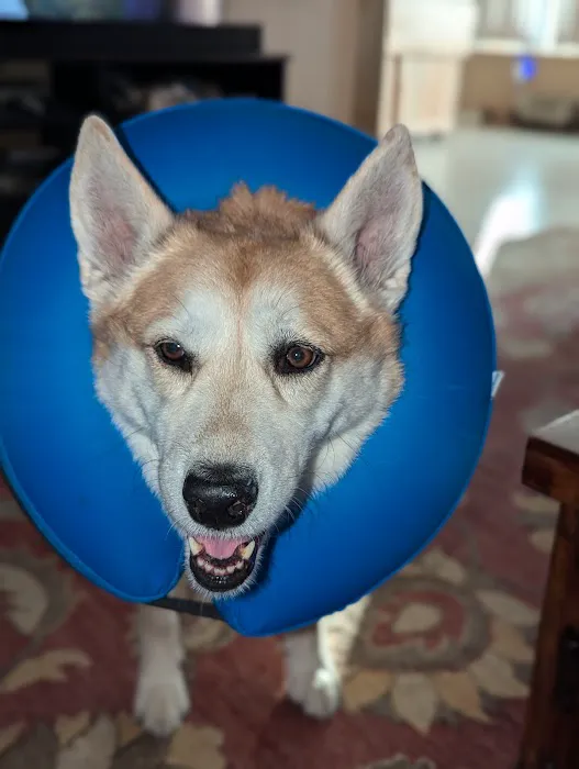 West Olive Animal Hospital Llc Picture 2