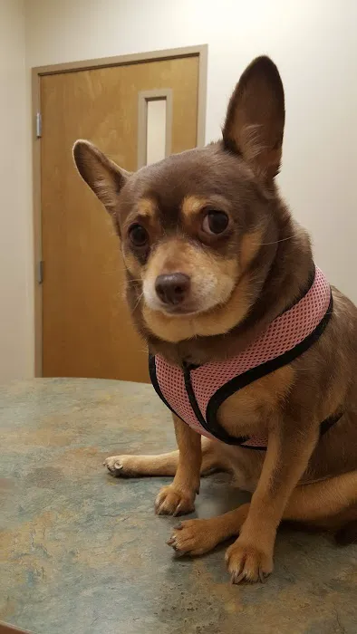 West Olive Animal Hospital Llc Picture 7