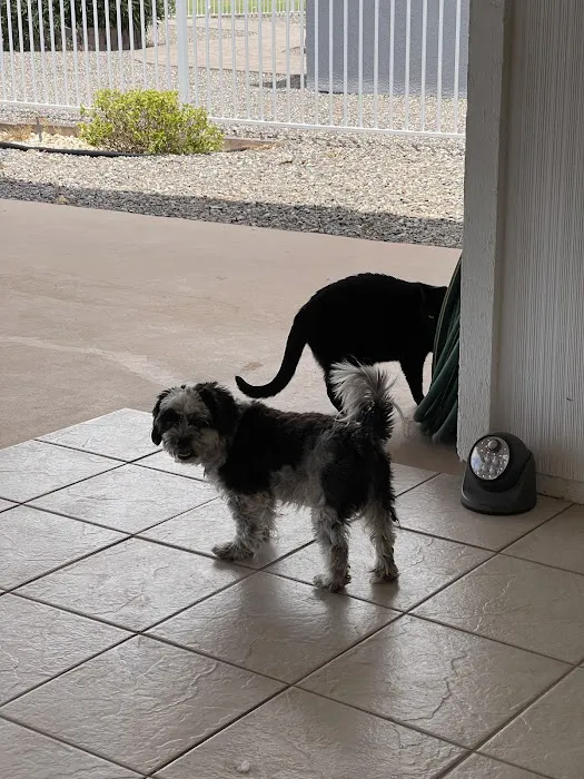West Olive Animal Hospital Llc Picture 10