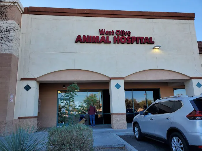 West Olive Animal Hospital Llc Picture 6