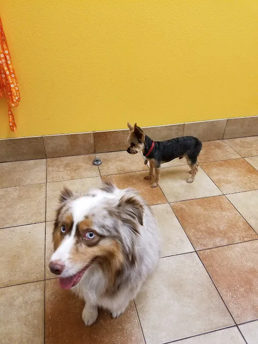 Banfield Pet Hospital Picture 4