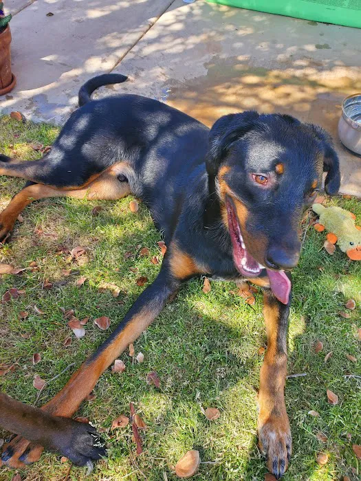 Banfield Pet Hospital Picture 9