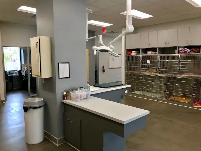 Peoria Animal Hospital Picture 4
