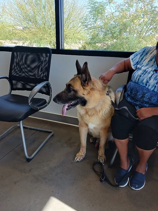 Peoria Animal Hospital Picture 3