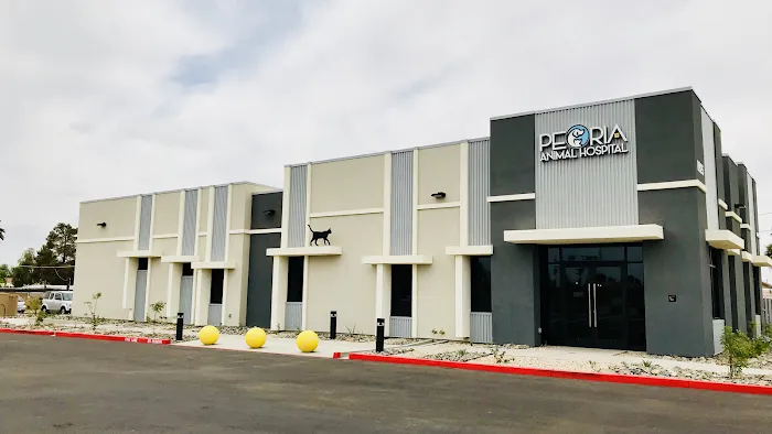 Peoria Animal Hospital Picture 10