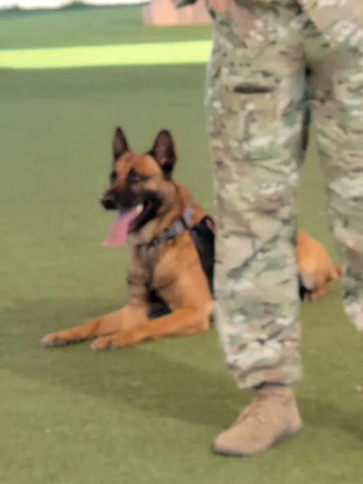 Luke Air Force Base Veterinary Service Picture 6