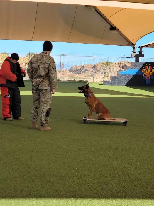 Luke Air Force Base Veterinary Service Picture 8
