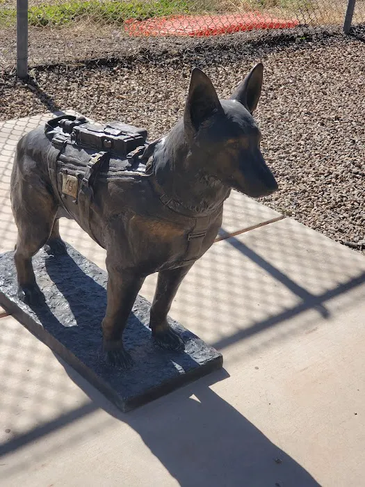 Luke Air Force Base Veterinary Service Picture 3