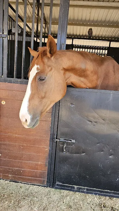 Southwest Equine Veterinary Clinic Picture 1