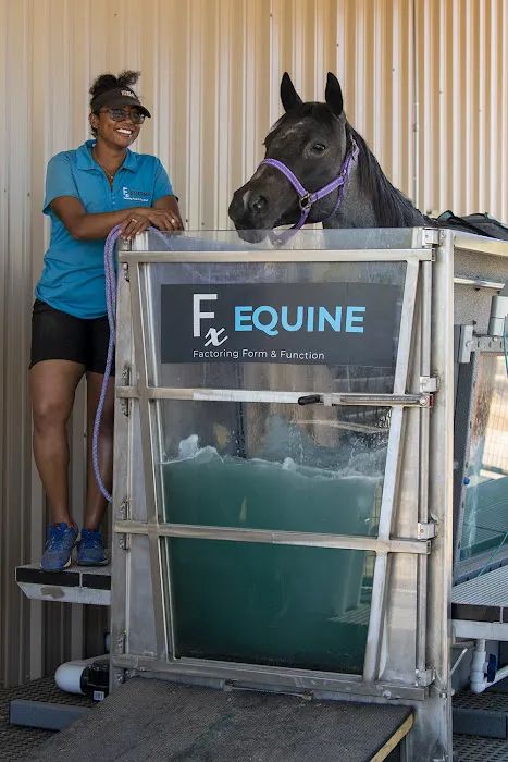 FX Equine Picture 3