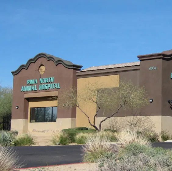 Pima North Animal Hospital Picture 8