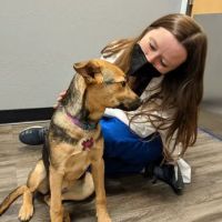 Animal Hospital at Grayhawk ico