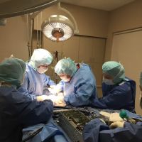 Southwest Veterinary Surgical Service, PC ico