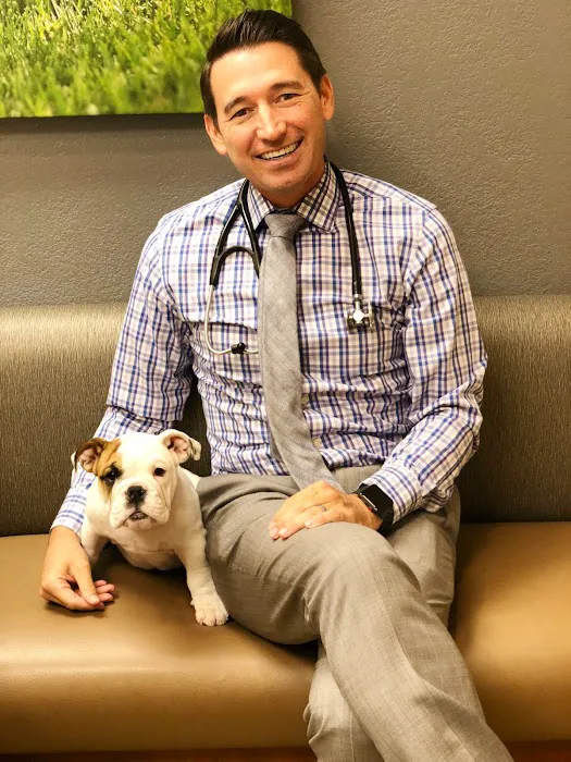 Desert Veterinary Medical Specialists Picture 3