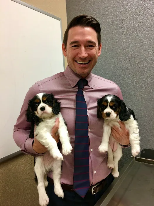 Desert Veterinary Medical Specialists Picture 4