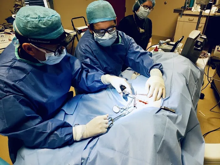 Desert Veterinary Medical Specialists Picture 2