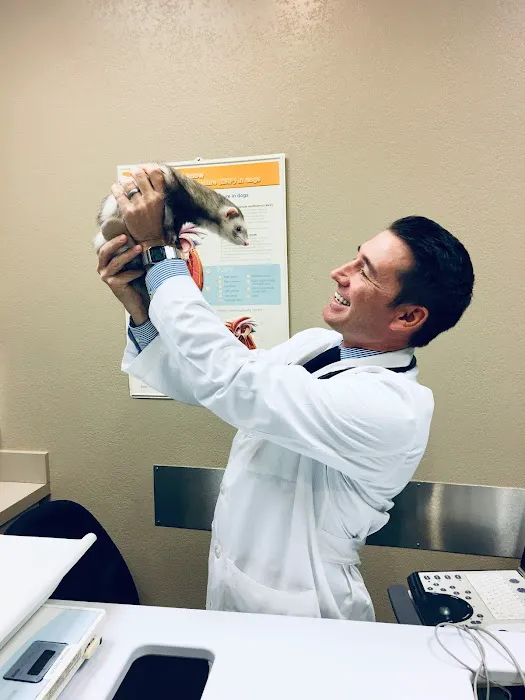 Desert Veterinary Medical Specialists Picture 1
