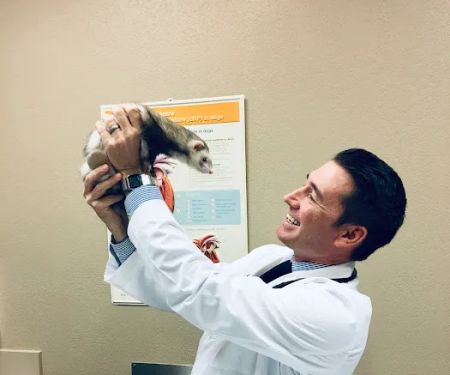 Desert Veterinary Medical Specialists