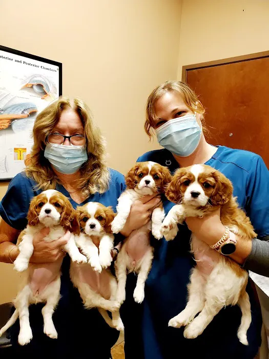 Eye Care for Animals - North Scottsdale Picture 5