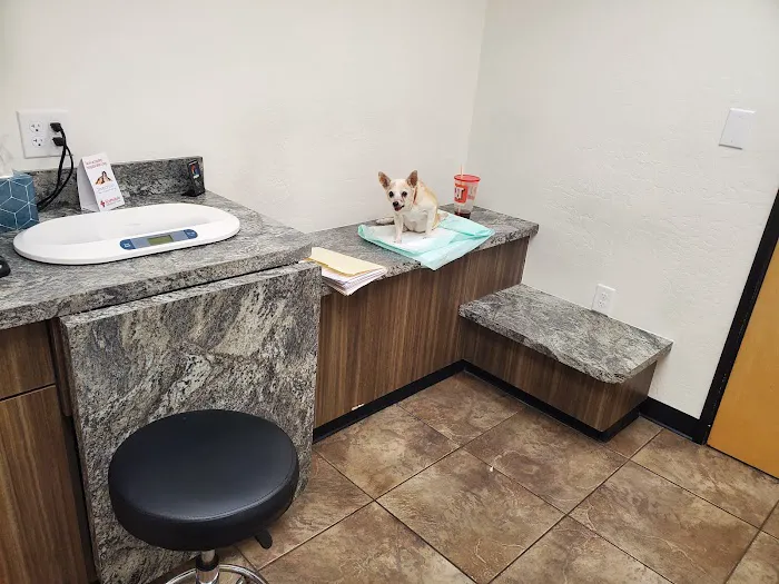 Scottsdale Veterinary Specialty and Emergency Center Picture 4