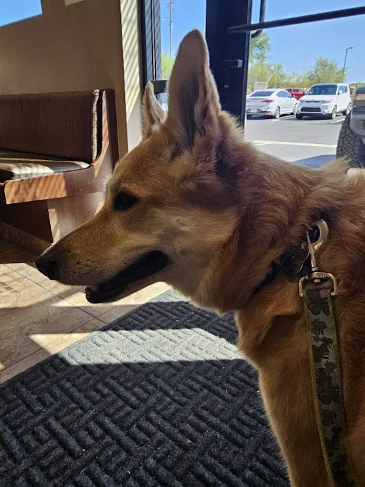 Scottsdale Veterinary Specialty and Emergency Center Picture 6
