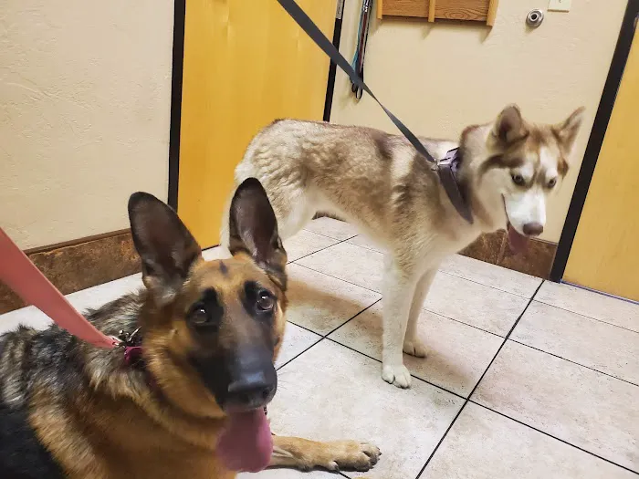 Pinnacle Peak Animal Hospital Picture 9