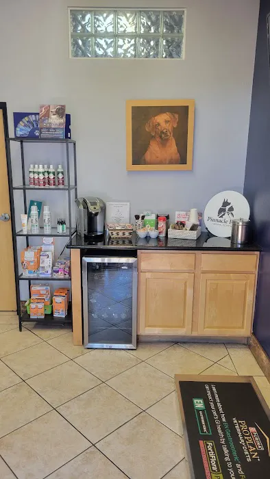 Pinnacle Peak Animal Hospital Picture 10