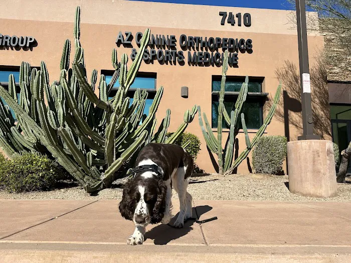 Animal Specialty Group of Scottsdale Picture 6