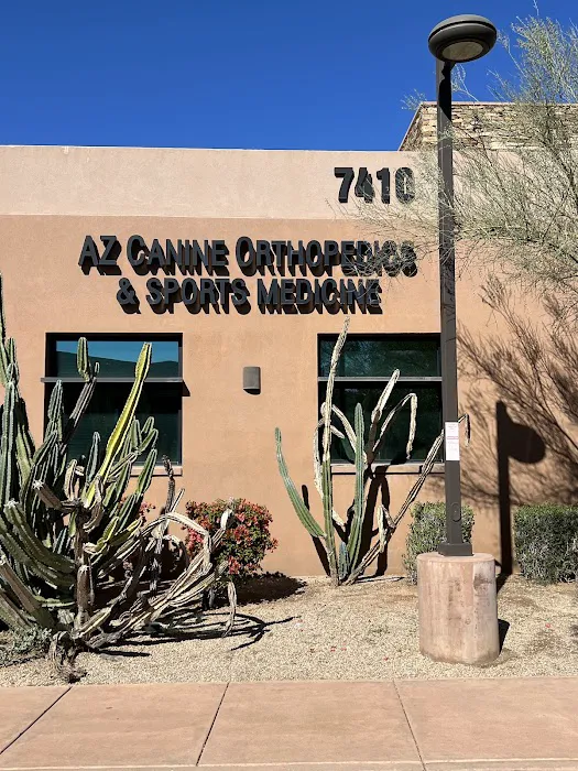 Arizona Canine Orthopedics & Sports Medicine Picture 3