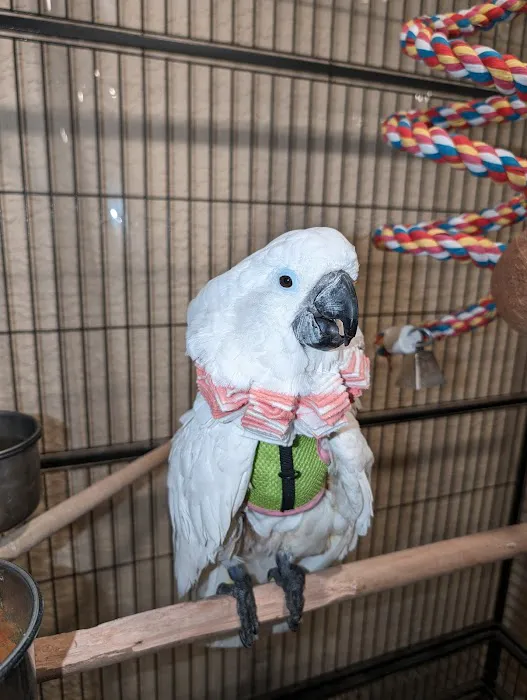 Arizona Exotic Animal Hospital (Phoenix) Picture 2