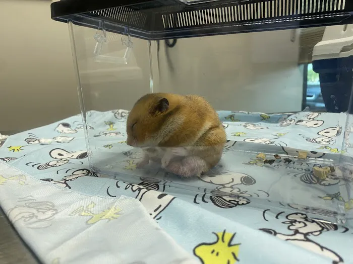 Arizona Exotic Animal Hospital (Phoenix) Picture 9