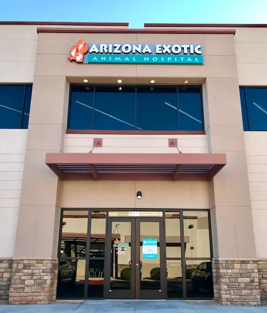 Arizona Exotic Animal Hospital (Phoenix) Picture 1