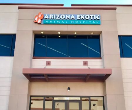 Arizona Exotic Animal Hospital (Phoenix)