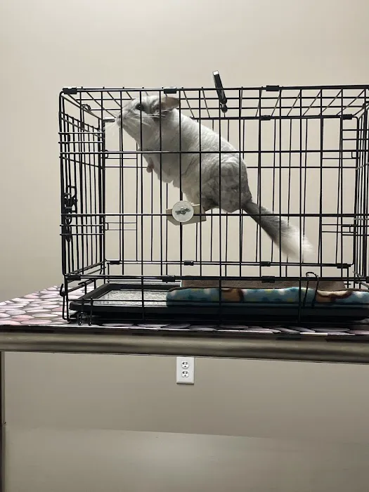 Arizona Exotic Animal Hospital (Phoenix) Picture 3