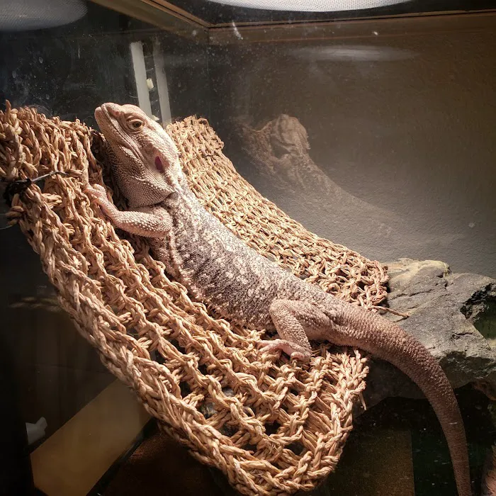 Arizona Exotic Animal Hospital (Phoenix) Picture 10