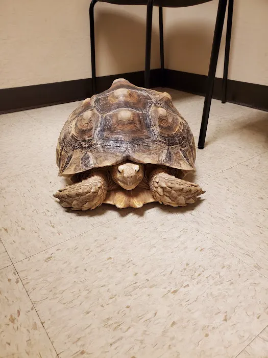 Arizona Exotic Animal Hospital (Phoenix) Picture 4