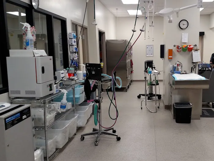 VetMED Emergency & Specialty Veterinary Hospital Picture 1