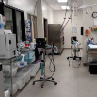 VetMED Emergency & Specialty Veterinary Hospital ico